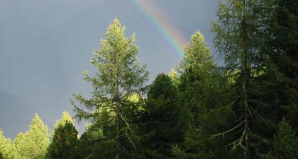 Regenbogen nach einem Sommergewitter