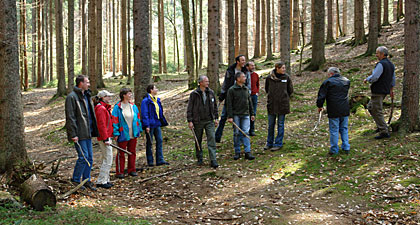 Workshop Waldpädagogik
